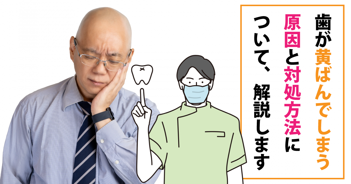 歯が黄ばんでしまう原因と対処方法について、解説します | 五反田の歯医者｜五反田駅前 …
