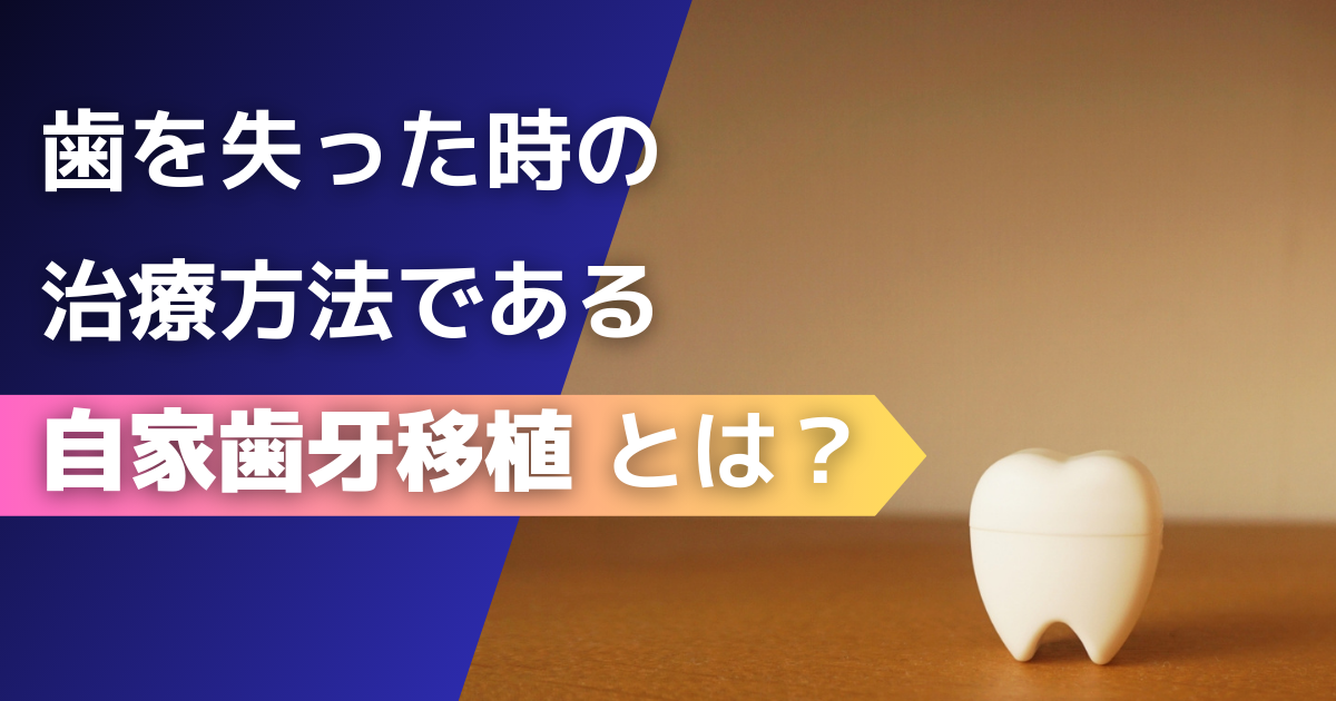 歯を失った時の治療方法である自家歯牙移植とは？ | 五反田の歯医者